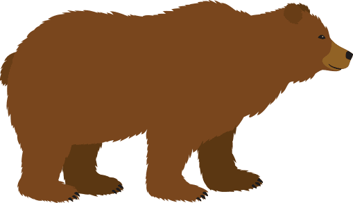 Bear illustration for BaseCAMP